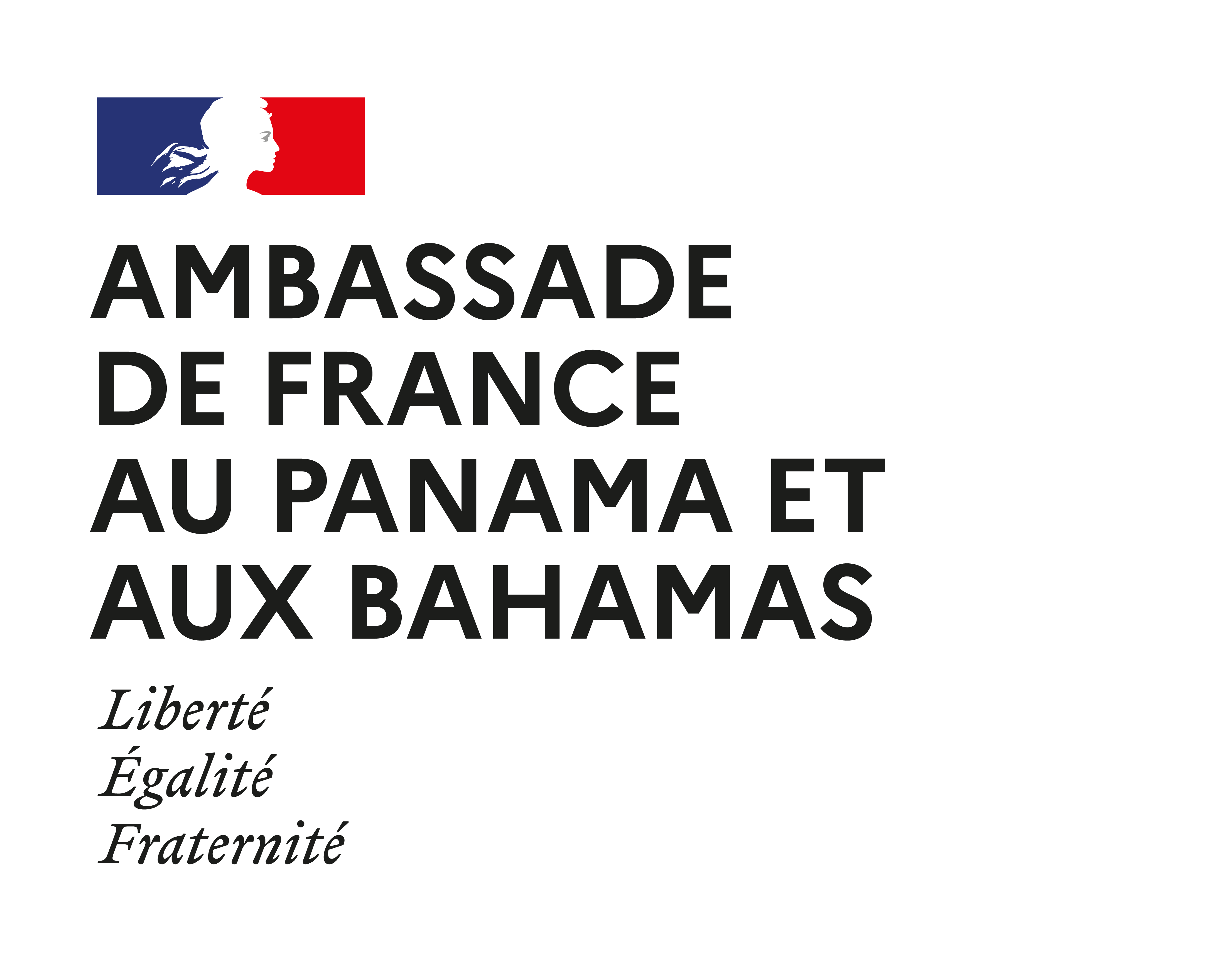 Embajada de Francia 